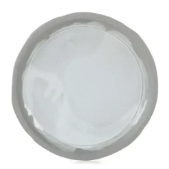 Vaisselle*REVOL Assiette en Céramique Blanc Arctique 28,5 cm No.W