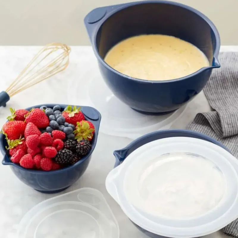 Bassines De Cuisine*WILTON Bol Plastique avec Couvercle 0,95 L / 1,89 L / 2,84 L (x3)