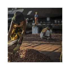 Produits Bio|Chocolat De Couverture*VALRHONA Chocolat de Couverture Noir Millot 74% Bio 250g