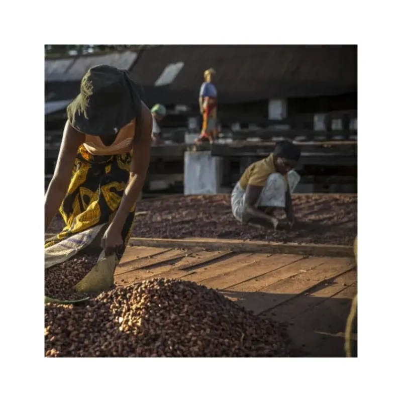 Produits Bio|Chocolat De Couverture*VALRHONA Chocolat de Couverture Noir Millot 74% Bio 250g