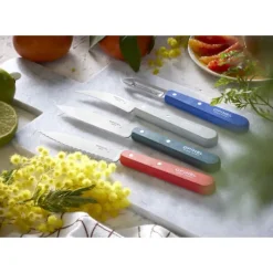 Couteau D'office|Eplucheurs, Dénoyauteur*OPINEL Coffret 3 Couteaux de Cuisine et un Eplucheur Primo Les Essentiels