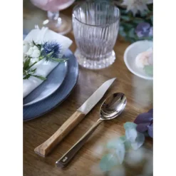 Couverts*OPINEL Coffret 4 Couteaux de Table Olivier Facette