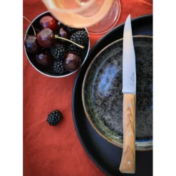 Couverts*OPINEL Coffret 4 Couteaux de Table Olivier Facette