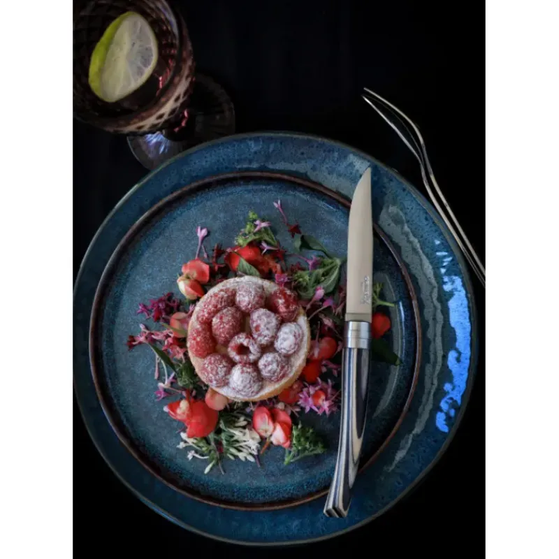 Couverts*OPINEL Coffret 4 Couteaux de Table Bouleau Lamellé Table Chic