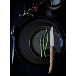 Couverts*OPINEL Coffret 4 Couteaux de Table Olivier Table Chic