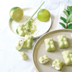 Moule Silicone*SCRAPCOOKING Coffret Oursons Summer Edition Limitée