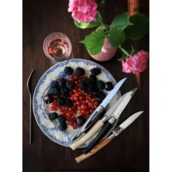 Couverts*OPINEL Coffret Panaché 4 Couteaux de Table Table Chic