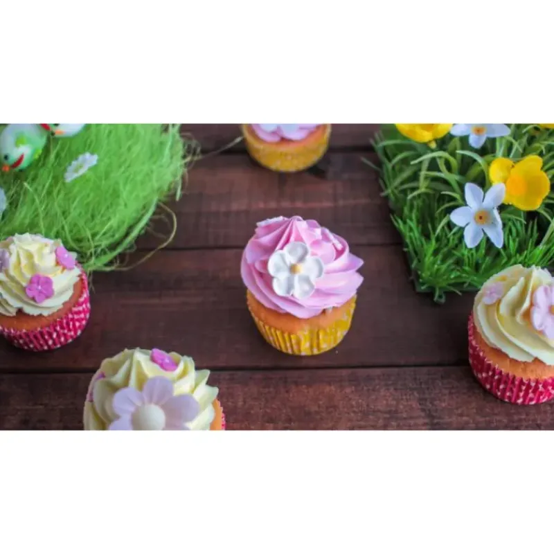 Arômes Alimentaires*SCRAPCOOKING Color'Arôme Rose / Framboise 10g