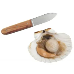 Couteau À Poisson*La Bonne Graine Couteau Coquille Saint Jacques Tellier