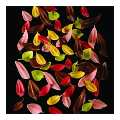 Ustensiles Chocolat*PAVONI Couteau Inox Plume 6 x 2 cm Flychoc