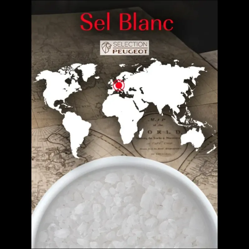 Moulin|Sel*PEUGEOT Cristaux de Sel Blanc d'Allemagne Sachets 50 g (x7)