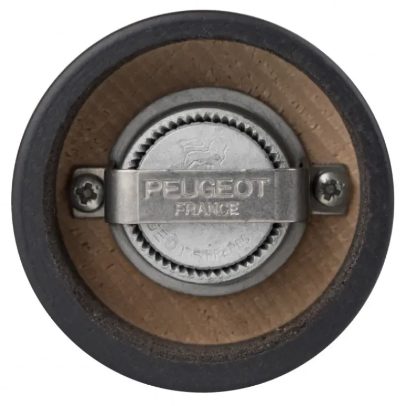 Moulin*PEUGEOT Duo Moulin à Poivre et Sel Tahiti Printemps 15 cm