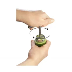 Coupe Fruits*La Bonne Graine Evideur Fruits et Légumes Le Petit Farceur Inox