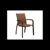 Mobilier Terrasse Restaurant*GROSFILLEX Fauteuil d'extérieur Bronze et Toile Cognac Sunset