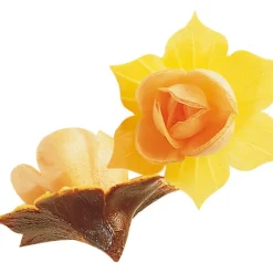 Décoration Comestible*FLORENSUC Fleurs de Jonquille orange x5 - en Azyme