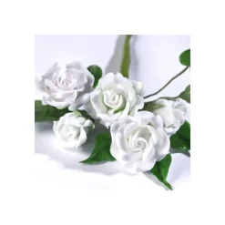 Pâte À Sucre*RENSHAW Gum Paste Blanc 250 g