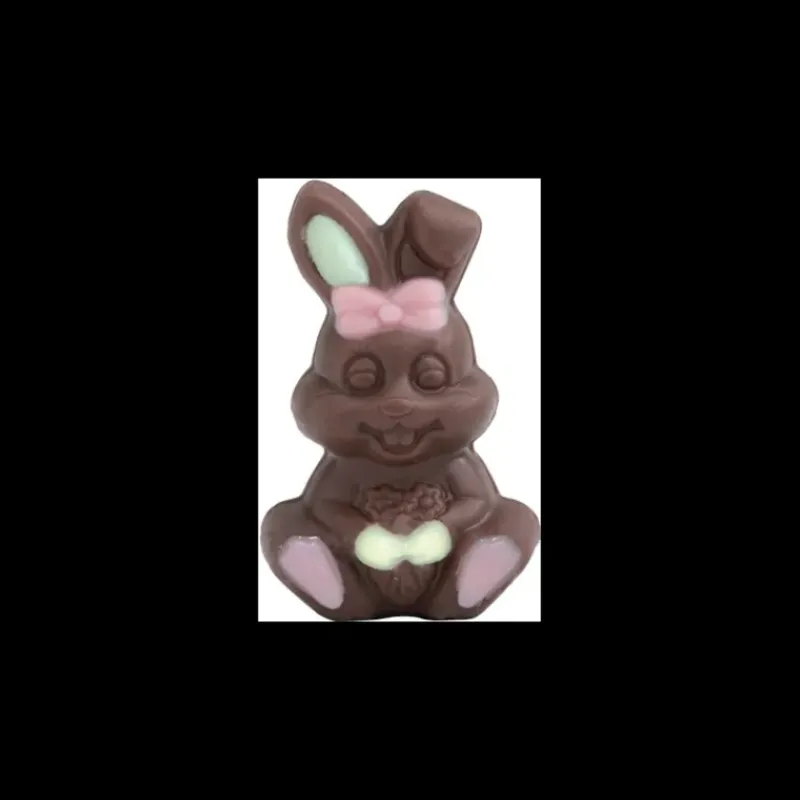 Confiserie*ABTEY Lapin Décoré Chocolat Lait et Blanc 10g x45