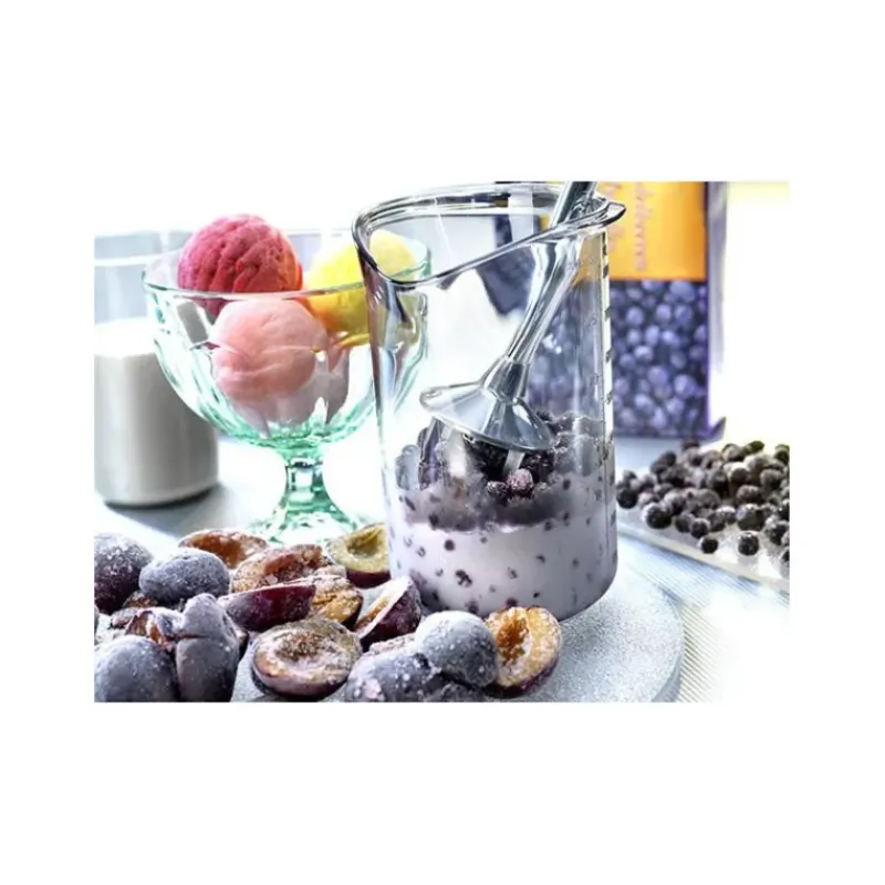 Mixeur Plongeant*BAMIX Mixeur Plongeant M160 Deluxe Noir 3 disques