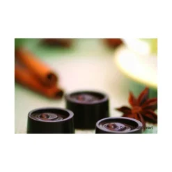 Moules À Chocolat|Moule Silicone*EASY CHOC Moule à Chocolat 15 Ronds - Silicone Spécial Chocolat