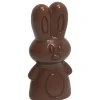 Moules À Chocolat*CHOCOLATE WORLD Moule à Chocolat Lapin (x16)