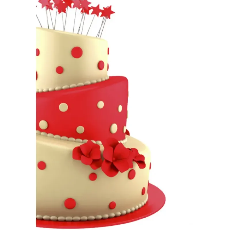 Moules À Gâteaux*IBILI Moule à Gâteau Rond Incliné Ø 21,5 cm x H 10 cm