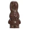 Moules À Chocolat*CHOCOLATE WORLD Moule Chocolat Lapin Harry 11,8 cm (x4)