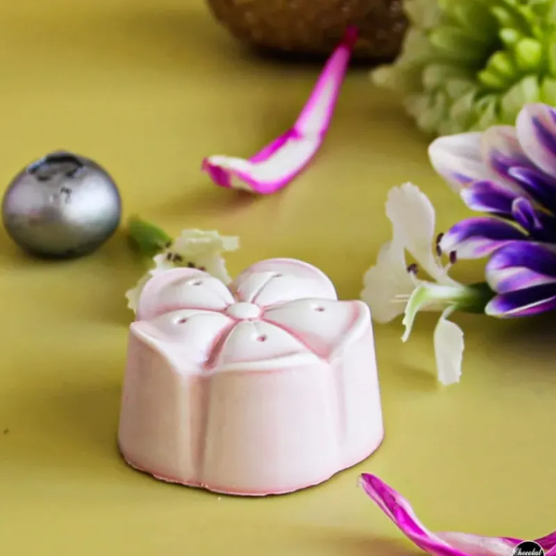 Moules À Chocolat*Chocolat Form Moule Chocolat Mochi 2,8 cm (x21) Chocolate Form