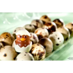 Moules À Chocolat*CHOCOLATE WORLD Moule Chocolat Poussin 33 mm (x12)