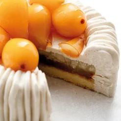 Moule Silicone*PAVONI Moule Silicone Charlotte 18 cm x H 6,5 cm Cédric Grolet