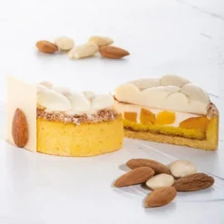 Moule Silicone*PAVONI Moule Silicone Décor Mini Amandes Ø 6 cm x H 1,4 cm (x8)