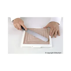 Moule Silicone*SILIKOMART Moule Silicone Insert 12 Carrés 26 cm Professional