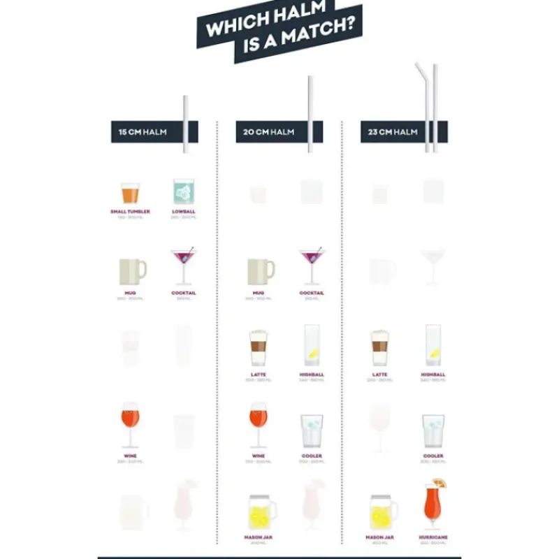 Accessoires Bar*CUISINEADDICT Paille Réutilisable en Verre 23cm droite x6 HALM