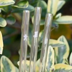 Accessoires Bar*CUISINEADDICT Paille Réutilisable en Verre Noël 20cm droite x6 HALM