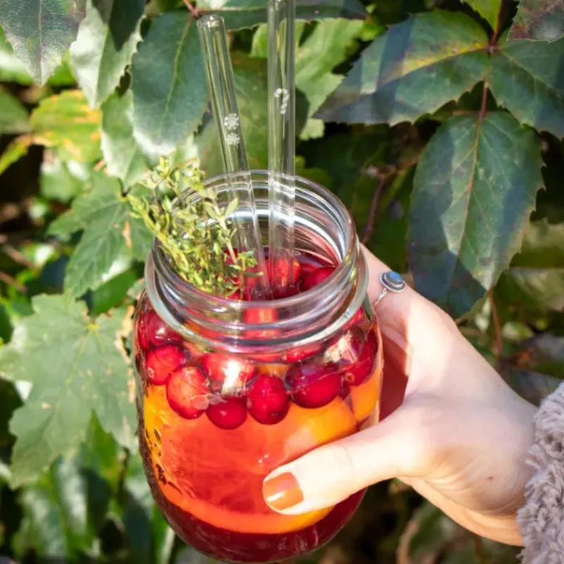 Accessoires Bar*CUISINEADDICT Paille Réutilisable en Verre Noël 20cm droite x6 HALM