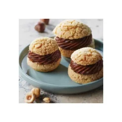 Produits Pâtisserie|Chocolat De Couverture*VALRHONA Praliné Amandes Noisettes 50% 300g