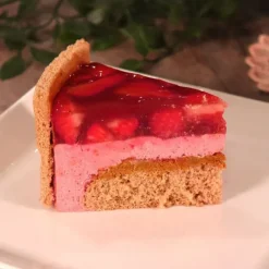 Préparation Pâtisserie*PATISDECOR Préparation Bavarois Gel Fraise 100 g Patisdécor