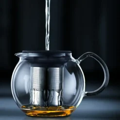 Théière*BODUM Théière avec Filtre Inox 50cl ASSAM